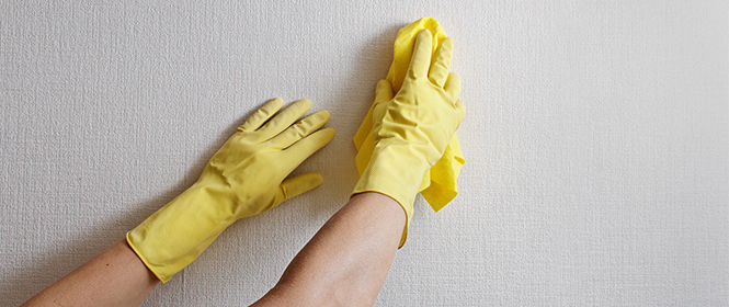 Eliminar manchas de dedos en la pared