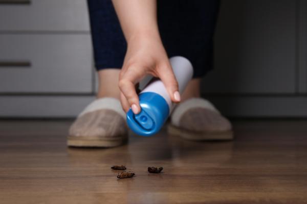 Tratamientos de limpieza para evitar plagas en viviendas