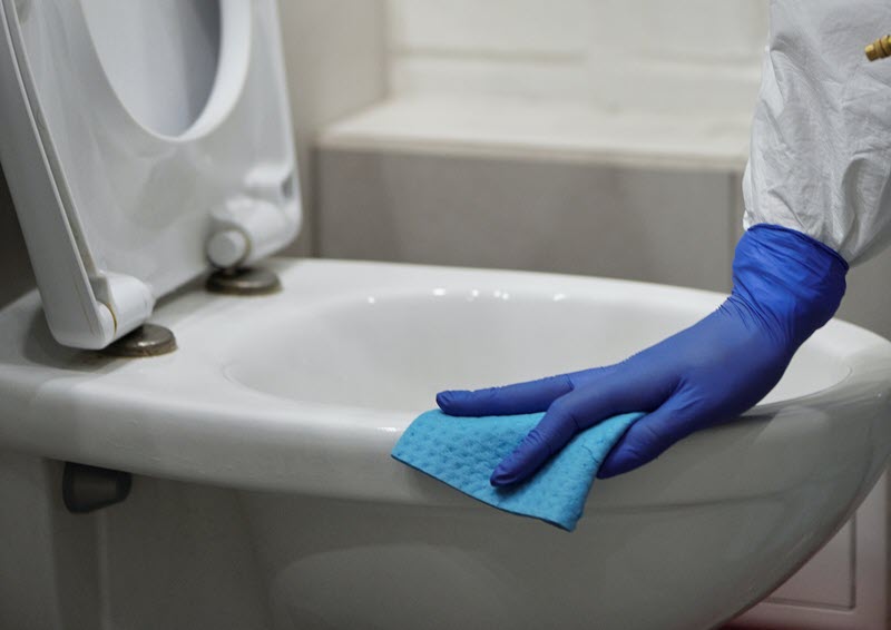 ¿Cuánto tiempo viven los patógenos en las superficies?